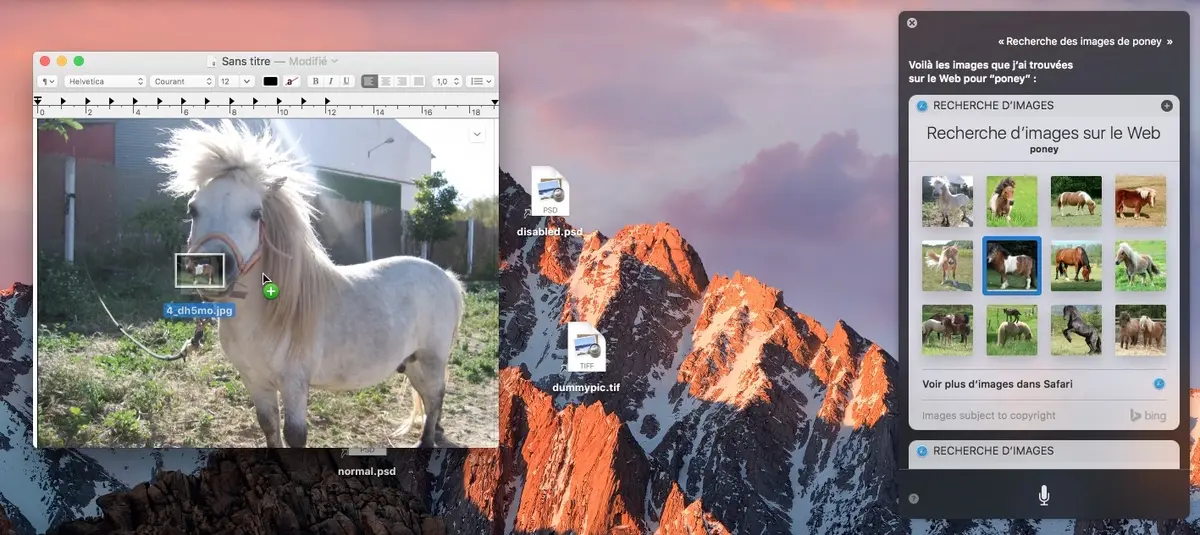 macOS Sierra : notre prise en main (vidéo) de Siri sur Mac !