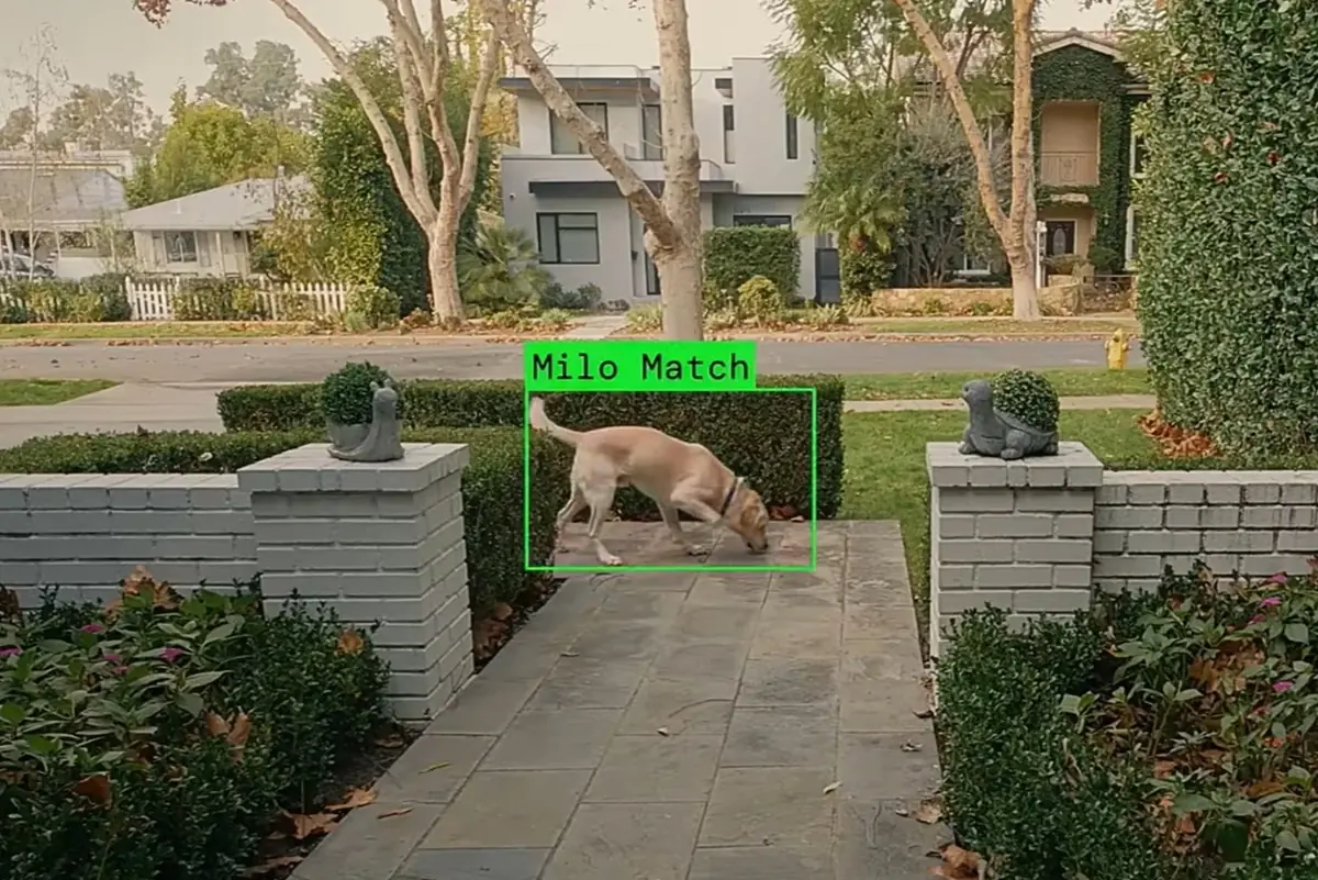 Ring&nbsp;: la pub du Super Bowl tourne au cauchemar pour Amazon