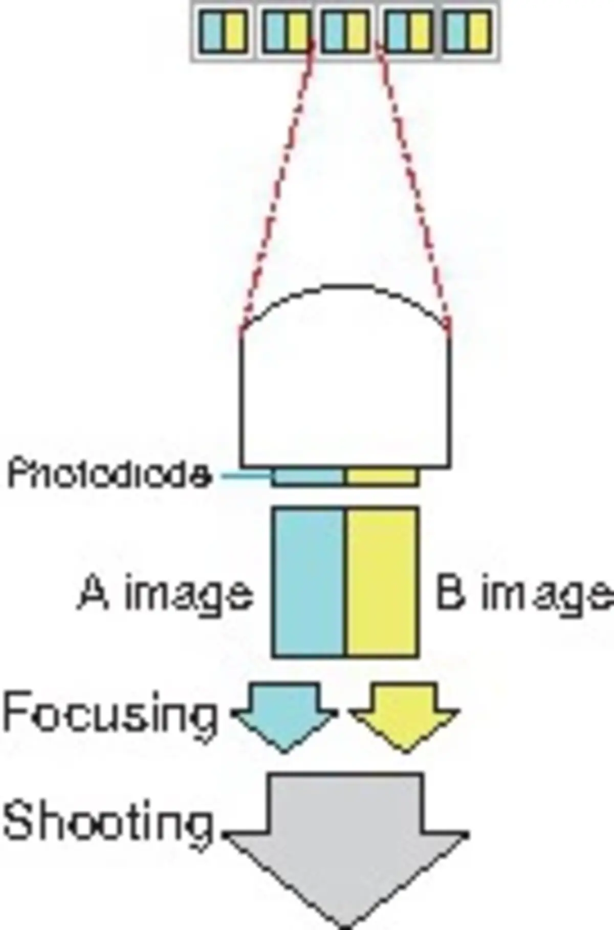 Lightroom יהיה תואם בקרוב ל