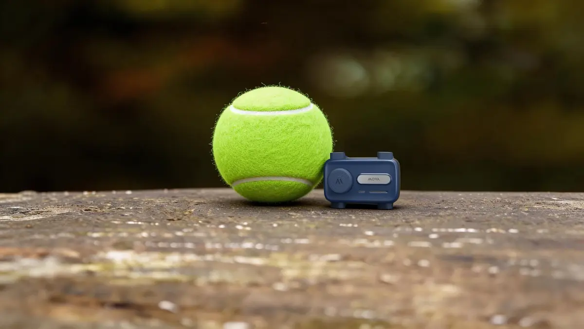 MOVA lance un traceur GPS qui parle &agrave; votre chien, &agrave; 99 euros mais avec abonnement -