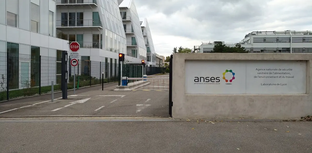 Image Wikipedia - Anses à Lyon