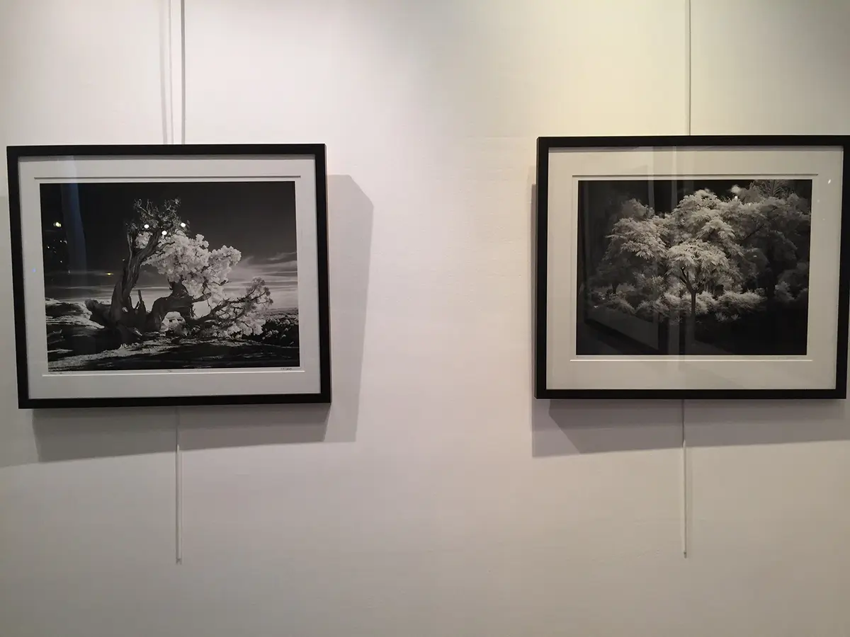 Quelques photos de l'expo Mitch Dobrowner à Paris (fonds d'écran Apple TV)