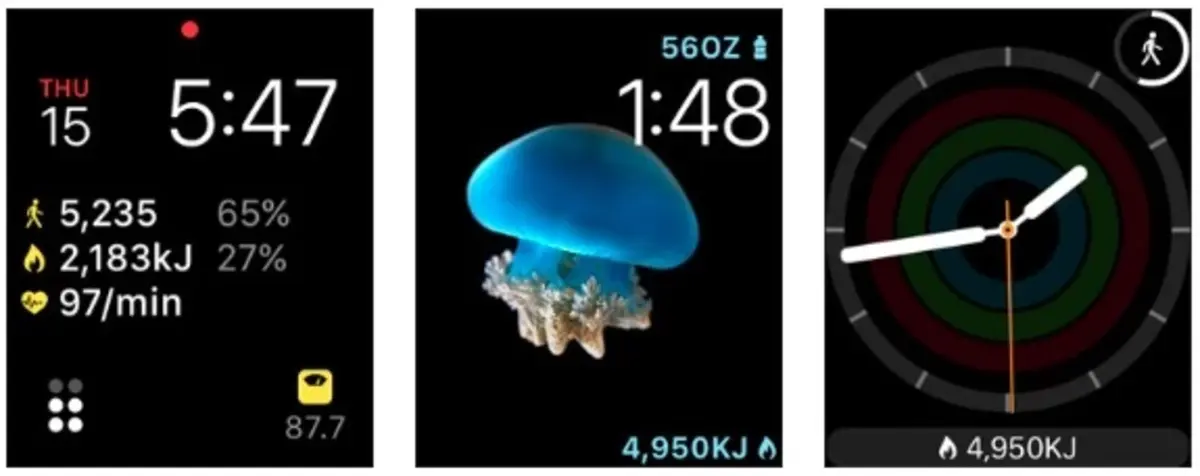 HealthFace は Apple Watch のヘルスケア App からのデータを表示します