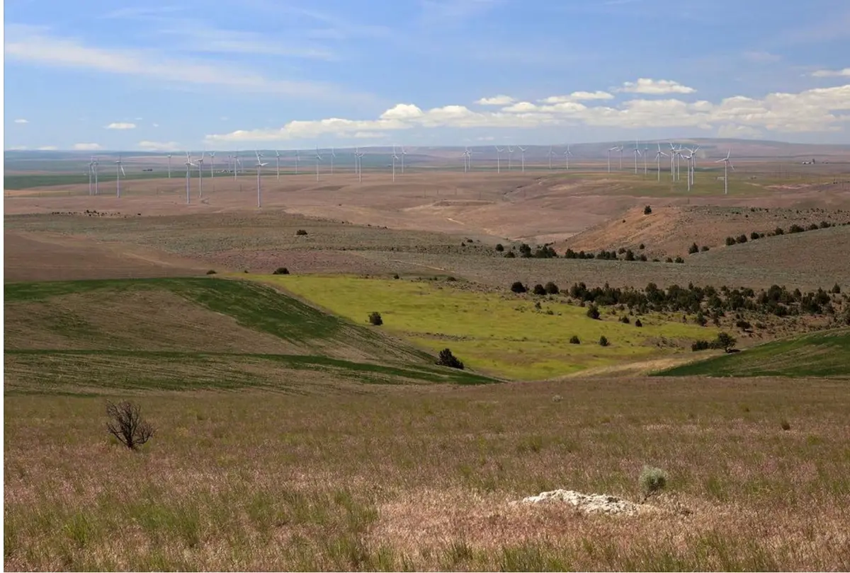 Des éoliennes moins nombreuses mais plus puissantes pour le site d'Apple en Oregon