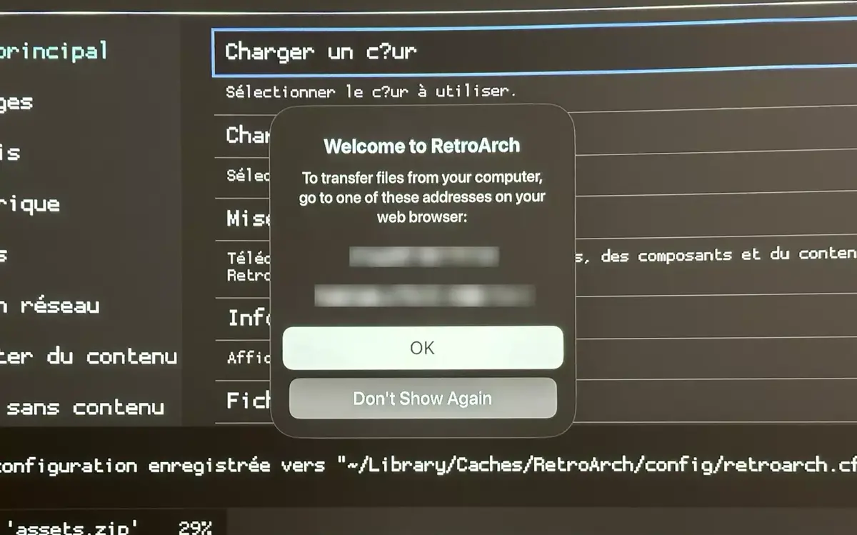 Sur Apple TV, RetroArch vous indique les adresses vous rendre pour transférer les ROMs