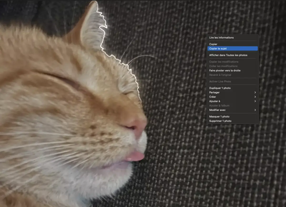 Comment détourer automatiquement le sujet d'une photo sous macOS Ventura (et iOS/iPadOS 16)