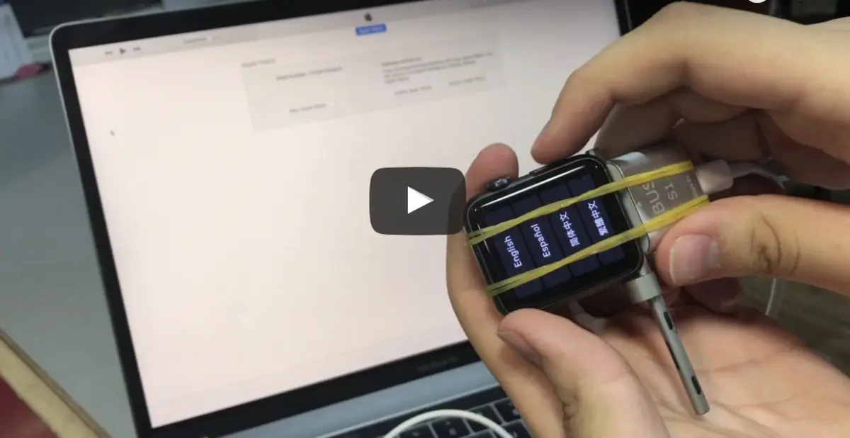 隠しコネクタを備えた Apple Watch を復元する (物理) ツール、iBus のデモ