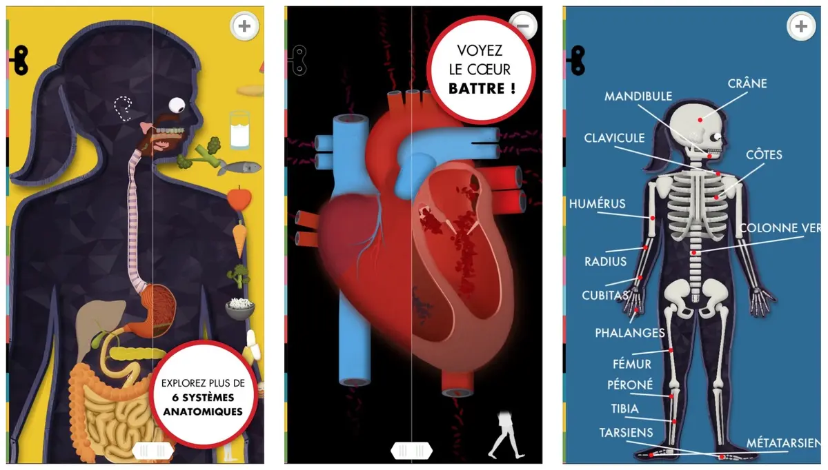 Tinybop fait découvrir le corps humain pour seulement 1,09€ sur iOS