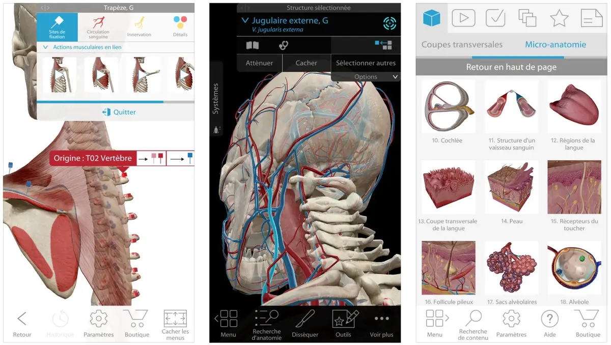 L'Atlas d'Anatomie Humaine (édition 2018) disponible à tout petit prix sur iOS