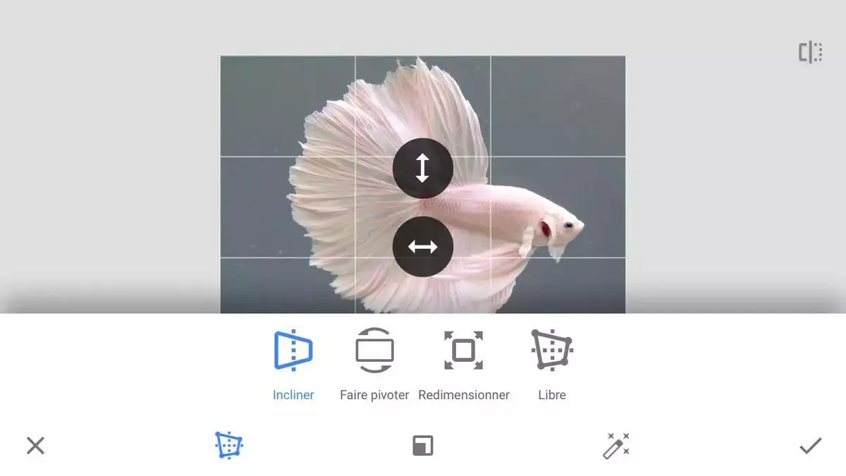 Snapseed redresse les perspectives et gagne de nouveaux outils d'édition