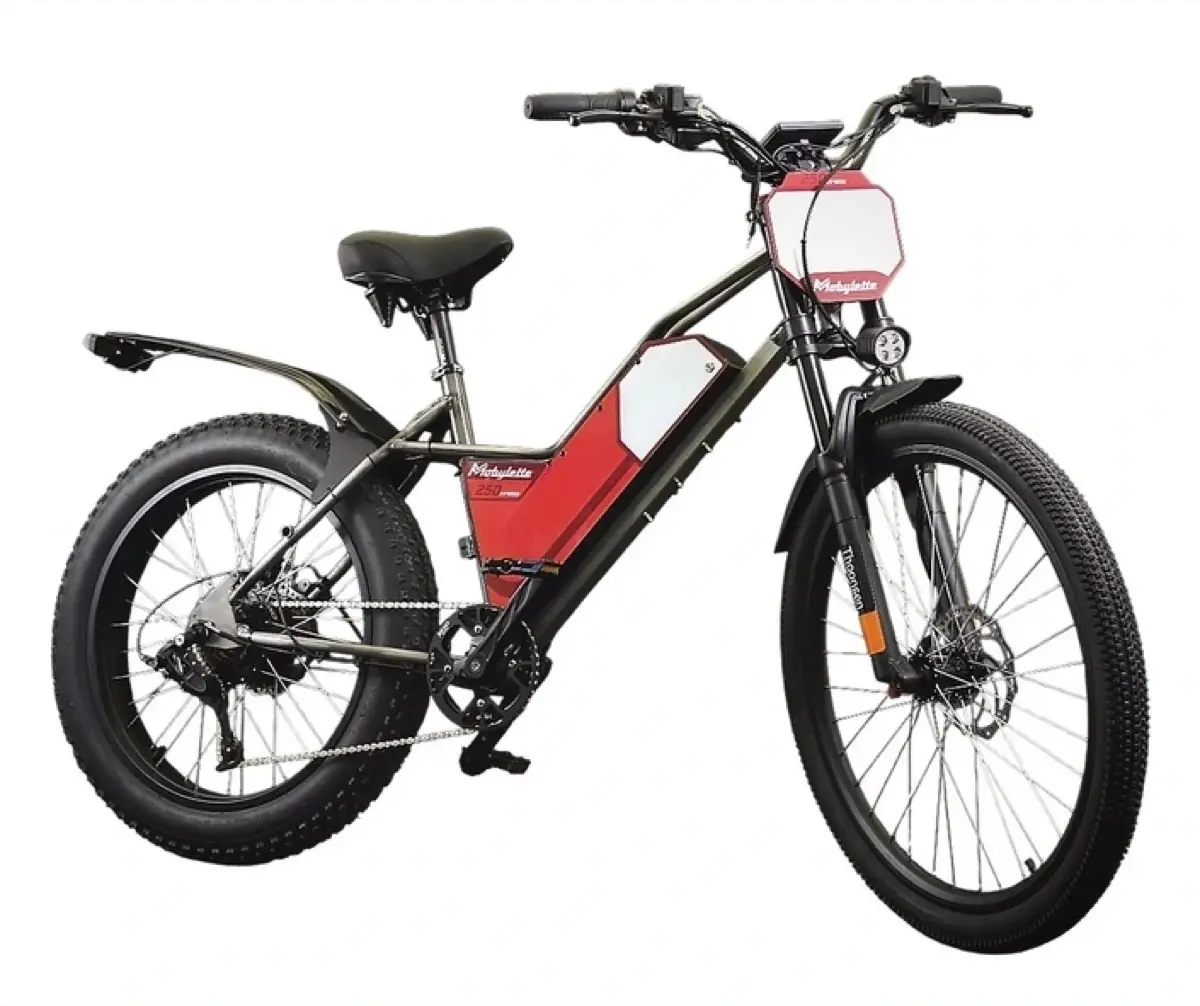 La Mobylette va rena&icirc;tre en version &eacute;lectrique gr&acirc;ce &agrave; un industriel de l'Indre