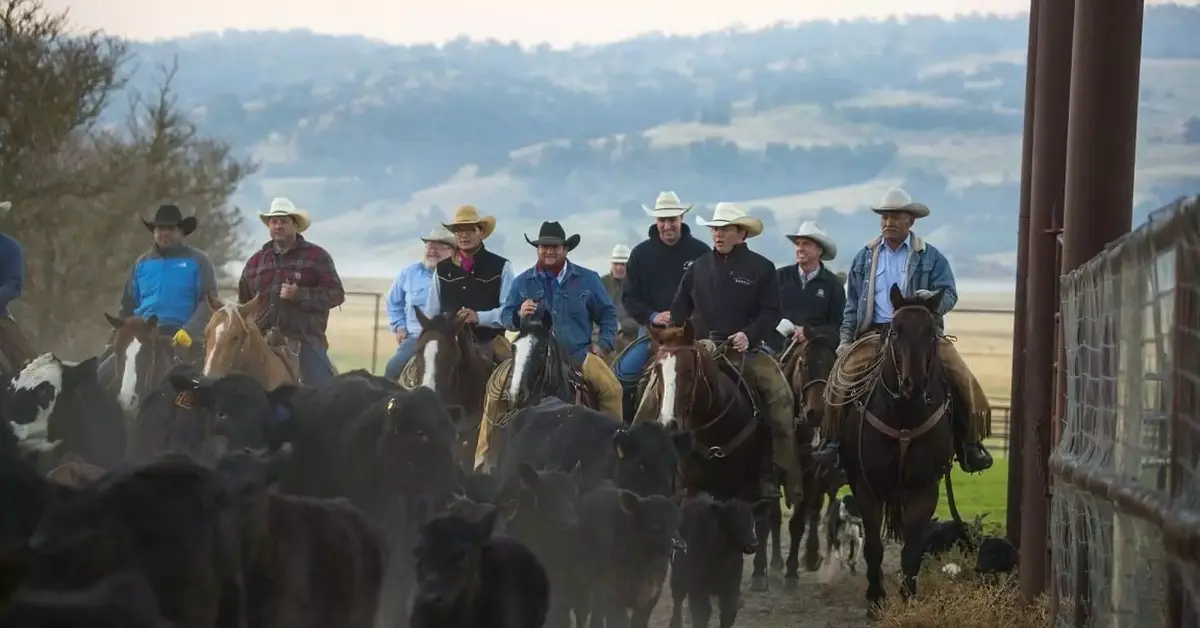 L'Apple Park alimenté en énergie solaire grâce à un ranch (des cowboys et des poneys)