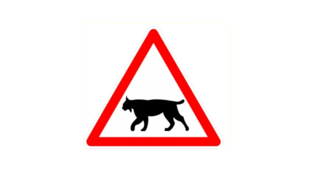 Mais c'est quoi ce nouveau panneau sur nos routes&nbsp;?
