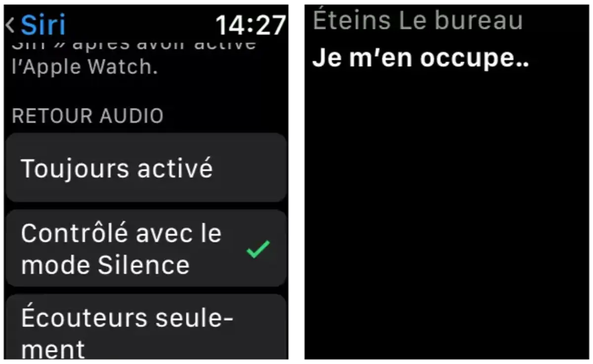 Apple Watch: HomeKit を使用すると、Siri は舌を抑える方法がわかりません