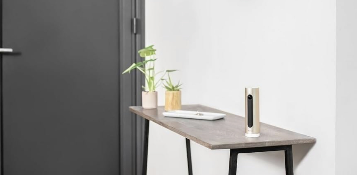 Les caméras de sécurité (sans abonnement) Netatmo intérieur/extérieur en mega promo !