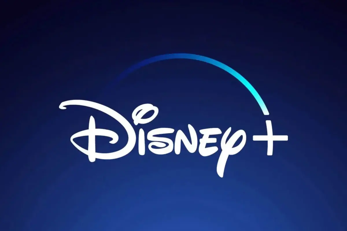 Disney chez Netflix&nbsp;: pourquoi le roi du streaming pr&ecirc;te ses films &agrave; l'ennemi