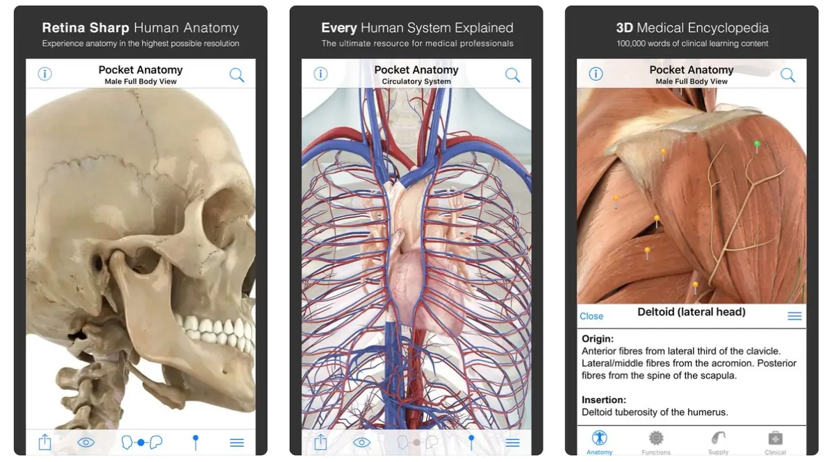 Médecine : Pocket Anatomy (2018) en promo à 1,09€ sur iPhone et iPad