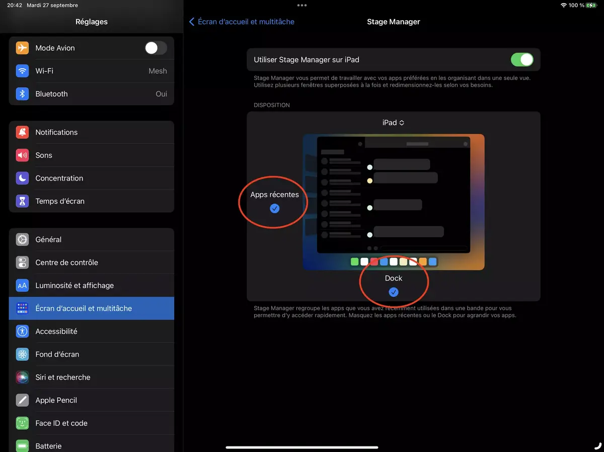 iPadOS 16 : comment activer Stage Manager sur un iPad Pro 2018/2020