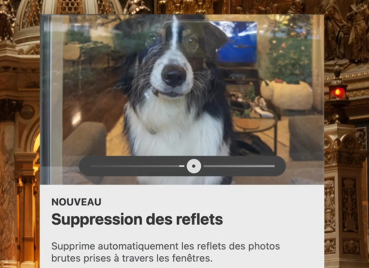 Adobe va supprimer les reflets de vos photos