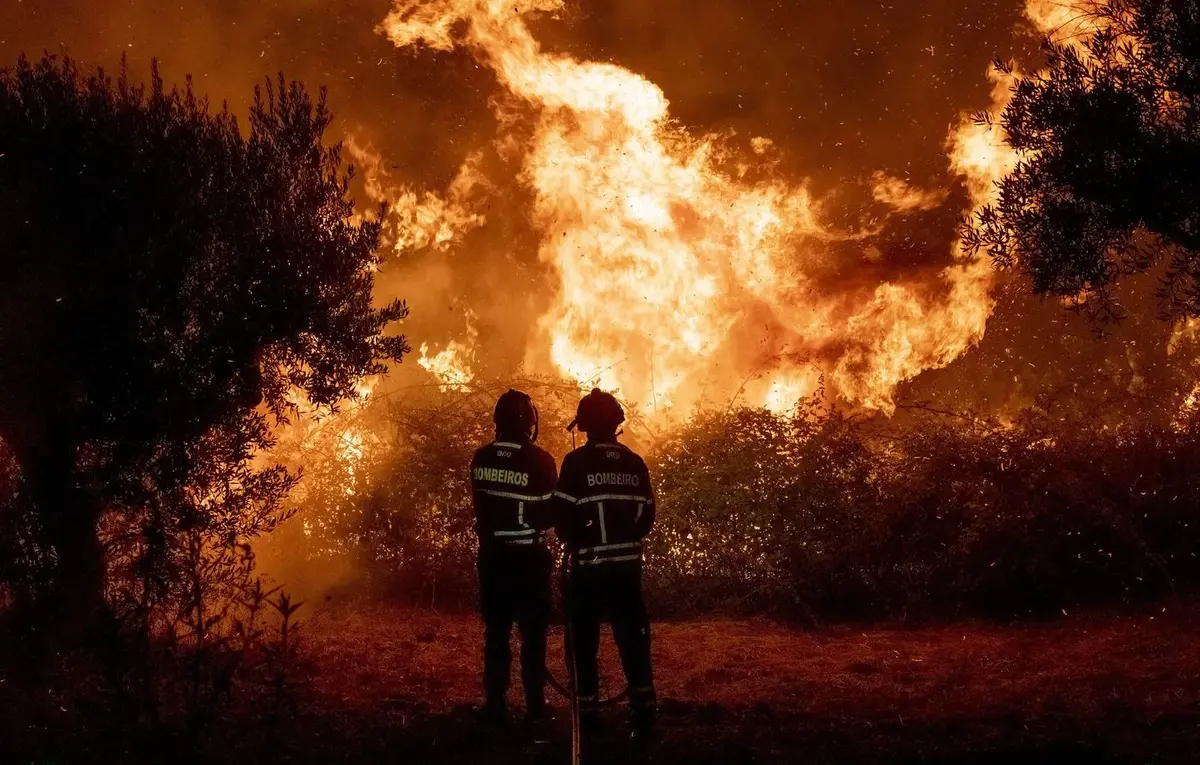 Google Incendies IA