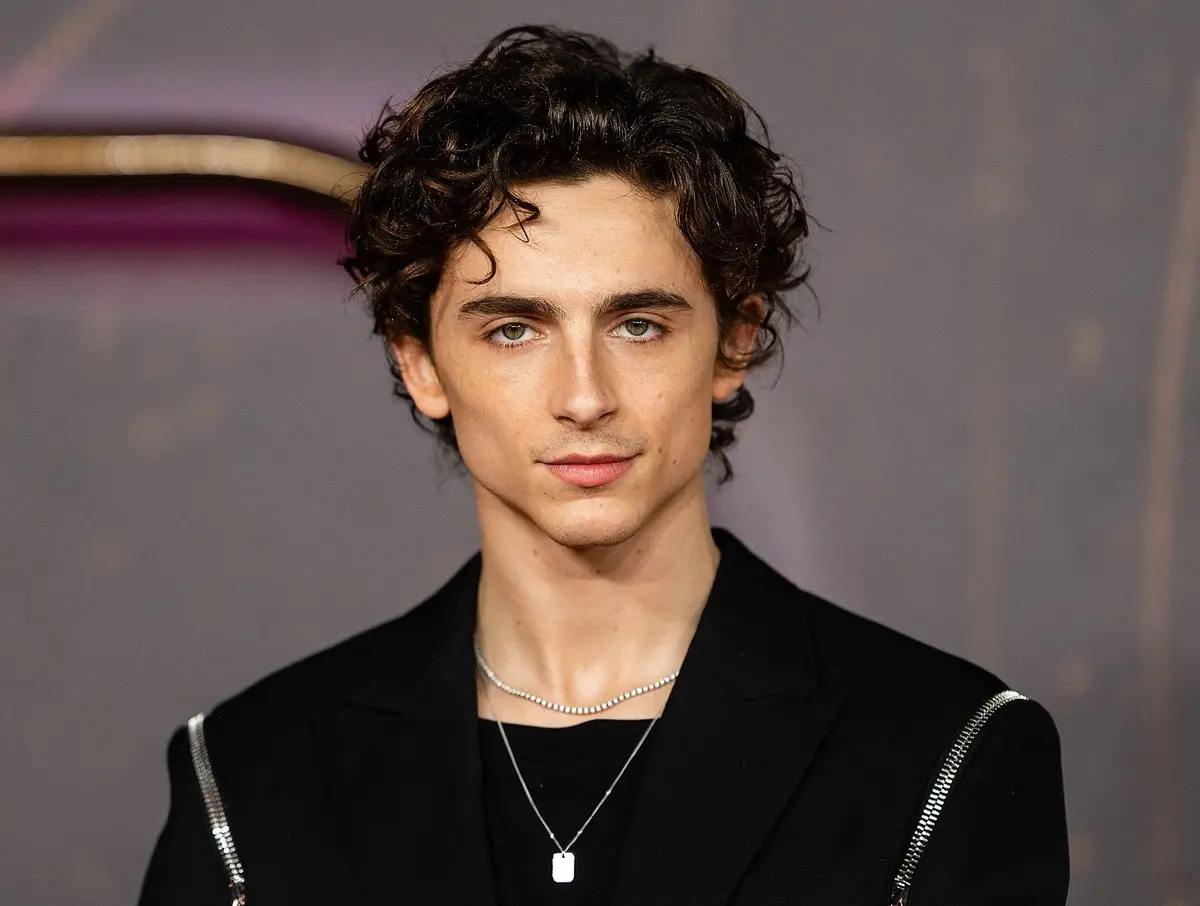 Timothée Chalamet est aussi très utilisé par les pirates