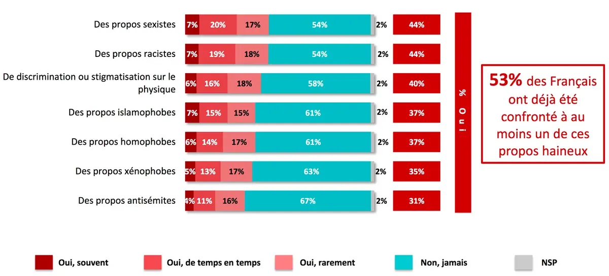 53% des français se disent victimes de propos haineux sur la toile