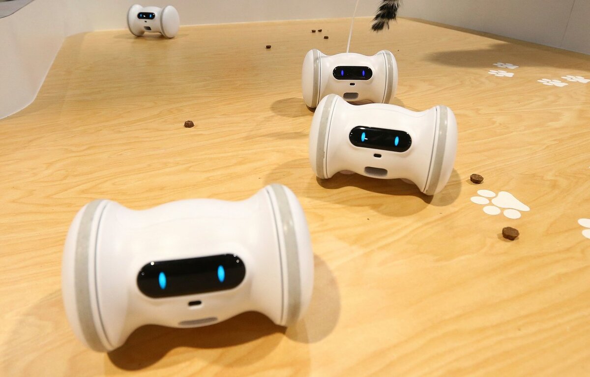 #CES spécial animaux : litière connectée, tapis d’exercice, robot compagnon...