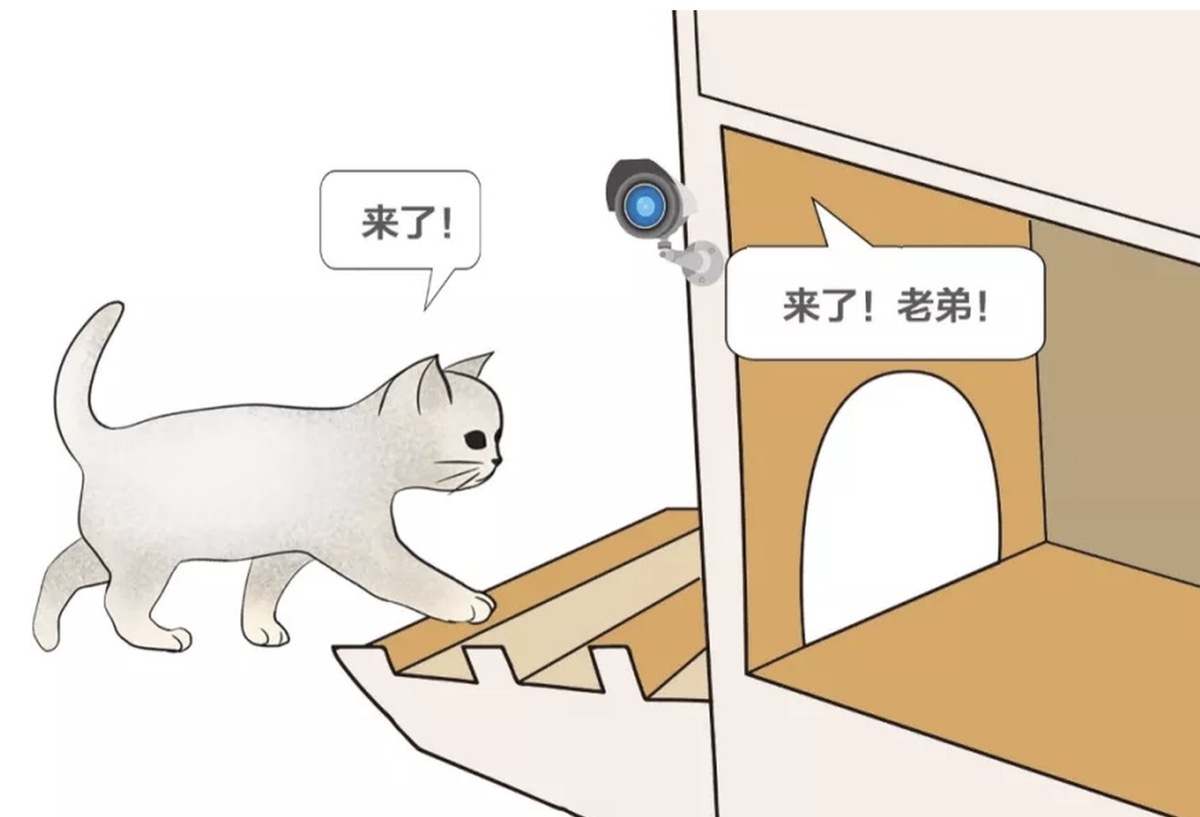 Insolite : Baidu fabrique un abri pour chats errants dopé à l'intelligence artificielle