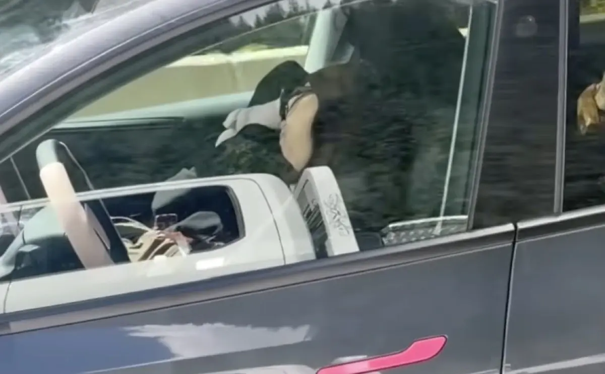 Elle dort &agrave; 100 km/h dans sa Tesla