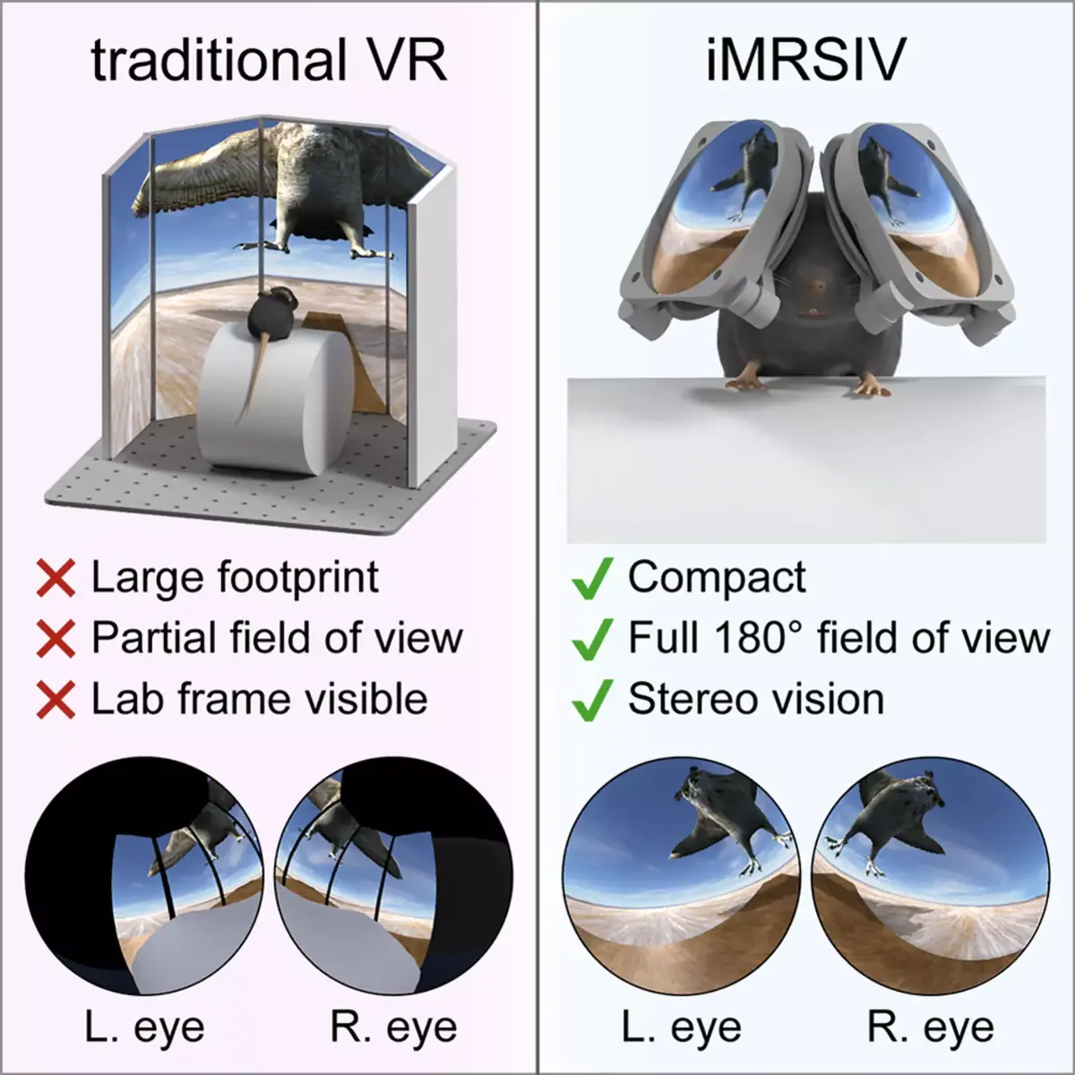 Étonnant : voici un casque VR pour les souris !