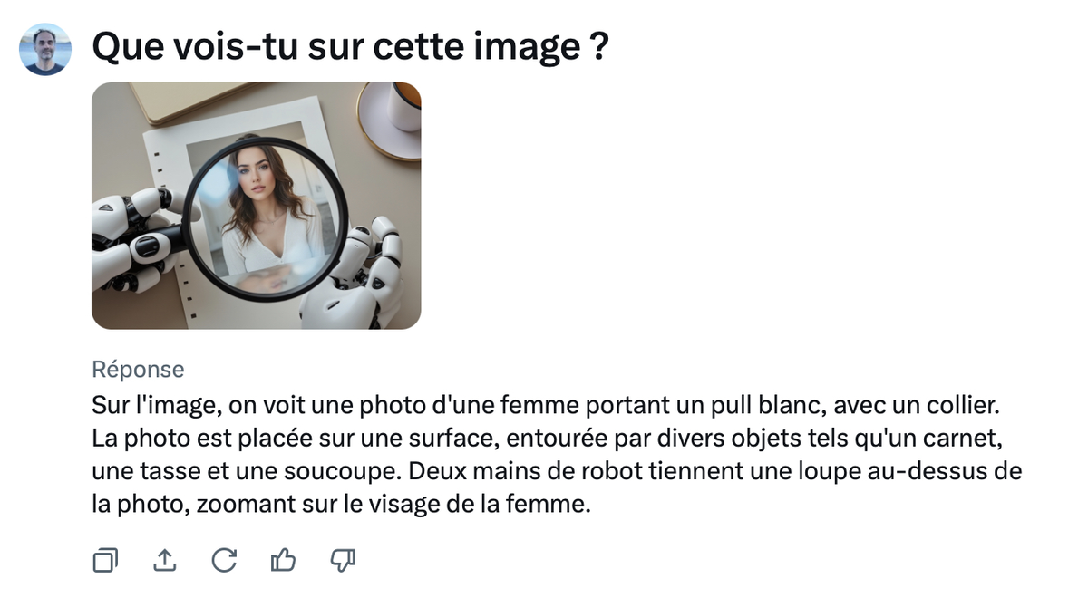 Pour l'expérience, j'ai demandé à Grok de me décrire l'image qu'il avait lui même généré à ma demande, pas mal.