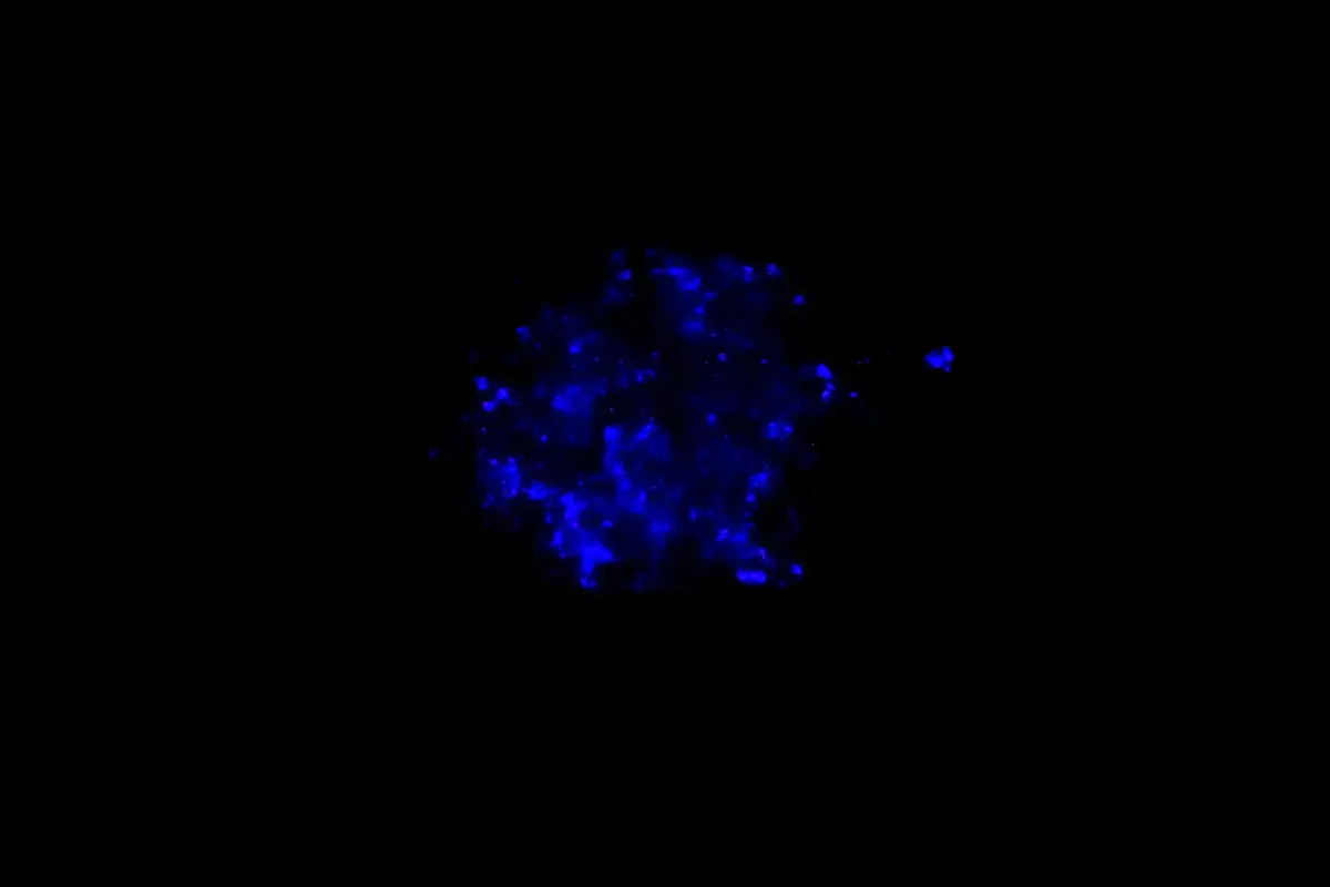 La triboluminescence en action