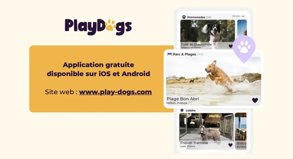 PlayDogs, un Strava canin avec un outil inédit pour maîtres sportifs