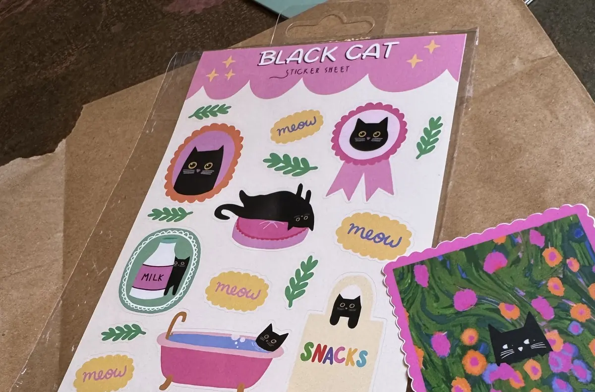 Je ne les ai pas encore coll&eacute;s, mais ce sont les stickers pr&eacute;vus pour iPhone 17 Pro Max