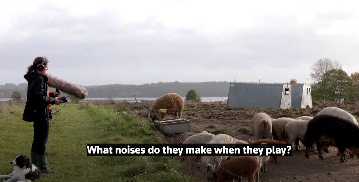 Les gros cochons vont adorer cette IA ! (les petits cochons aussi)