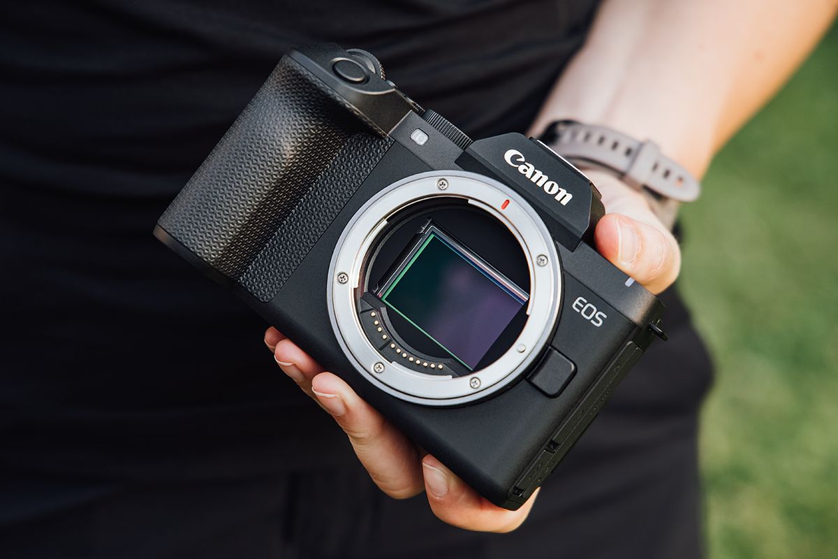 Canon EOS R8 Mark II&nbsp;: la stabilisation arrive, d&egrave;s 1 799 euros