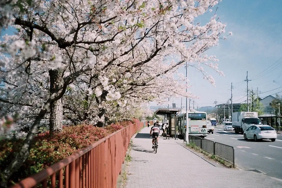 Photo prise avec le tout nouveau Rollei 35 AF