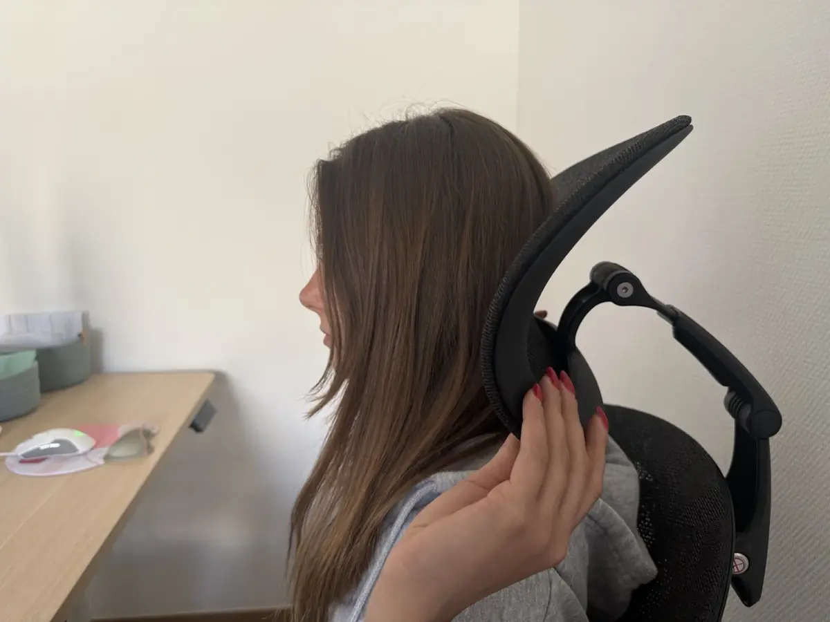 FlexiSpot Apollo&nbsp;: une chaise de bureau ergonomique de qualit&eacute; (-50% en ce moment&nbsp;!)