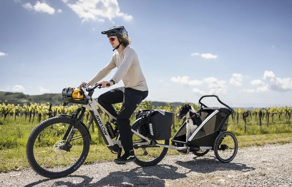 Amflow TL Carbon&nbsp;: DJI lance un VTT &eacute;lectrique tout-carbone &agrave; 3 499 euros
