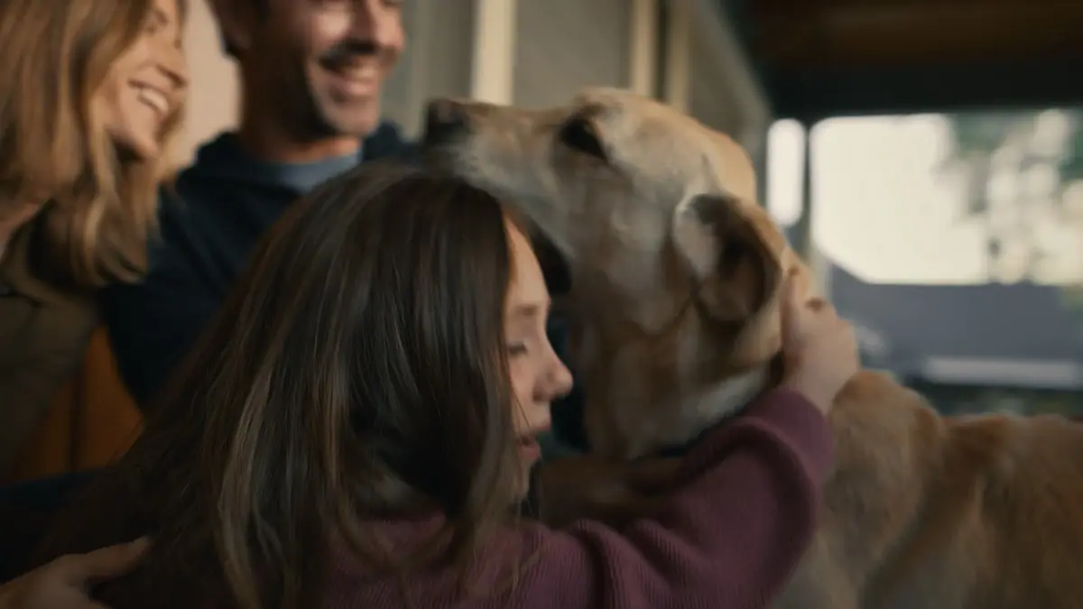 Ring&nbsp;: la pub du Super Bowl tourne au cauchemar pour Amazon