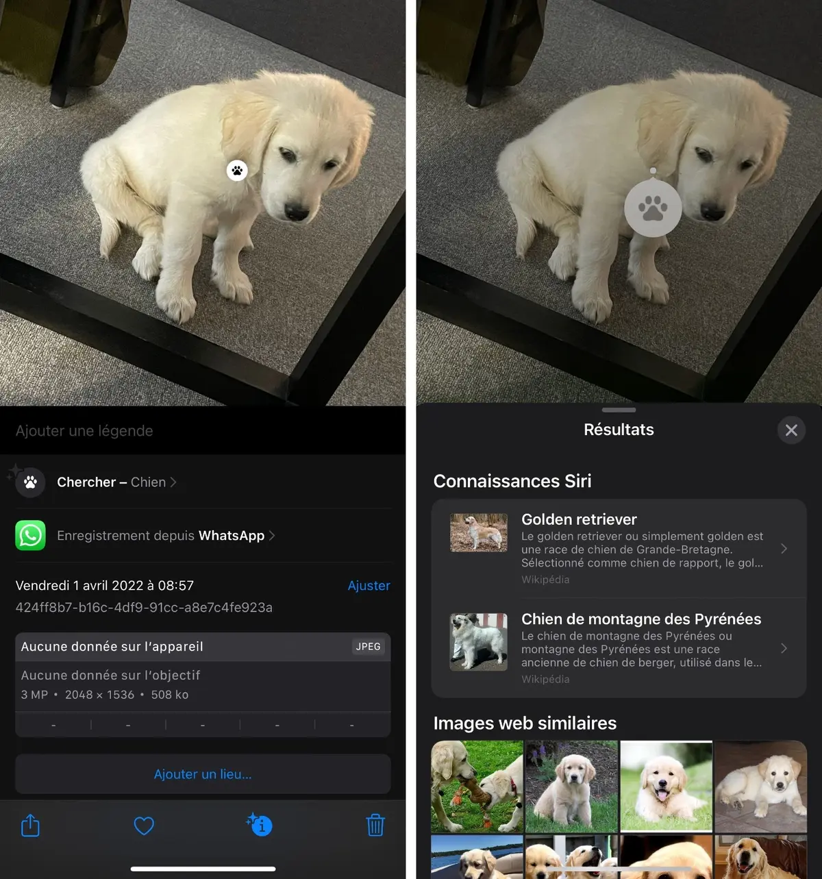 iOS : comment lire et modifier les métadonnées des photos sur iPhone et iPad