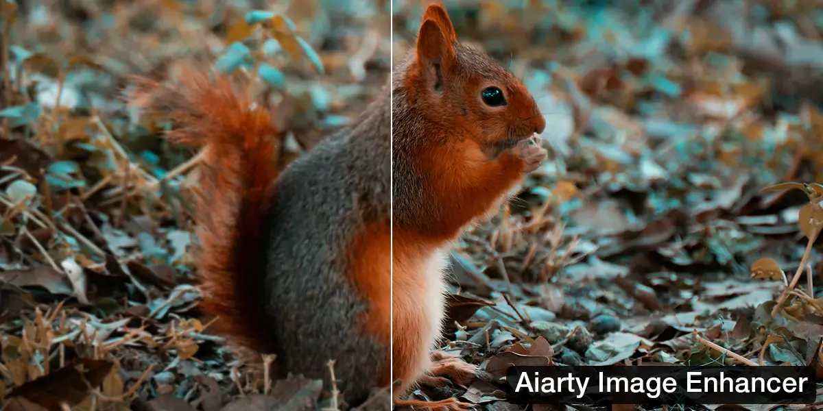 Aiarty Image Enhancer&nbsp;: l&rsquo;IA qui redonne vie aux photos floues, avec 52 % de r&eacute;duction pour No&euml;l