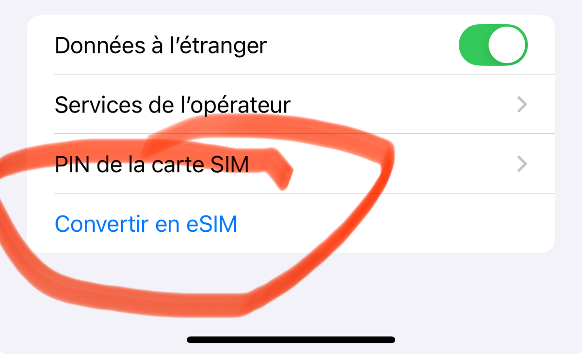 Multi-SIM sur iPad Pro M4 : une astuce pour avoir une eSIM !