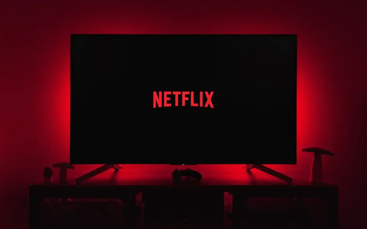 Netflix Fuite