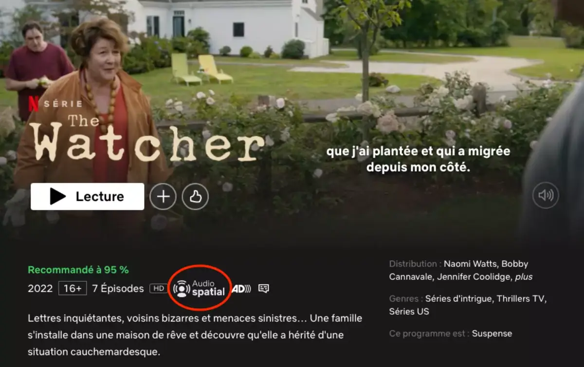 Plus de 700 vidéos en audio spatial depuis un système stéréo pour les abonnés Netflix Premium