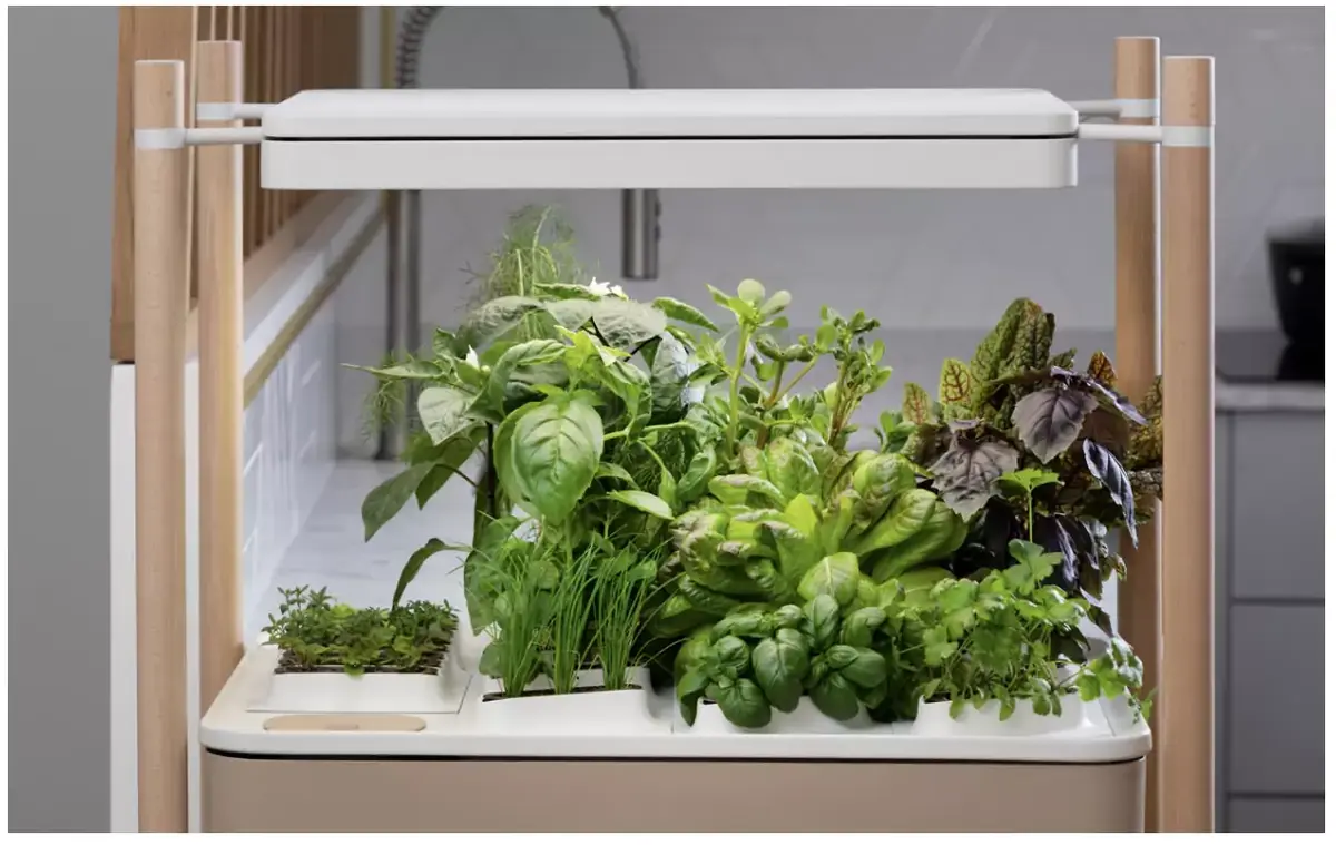 Prêt à Pousser dévoile son nouveau potager MULTO #CES2022