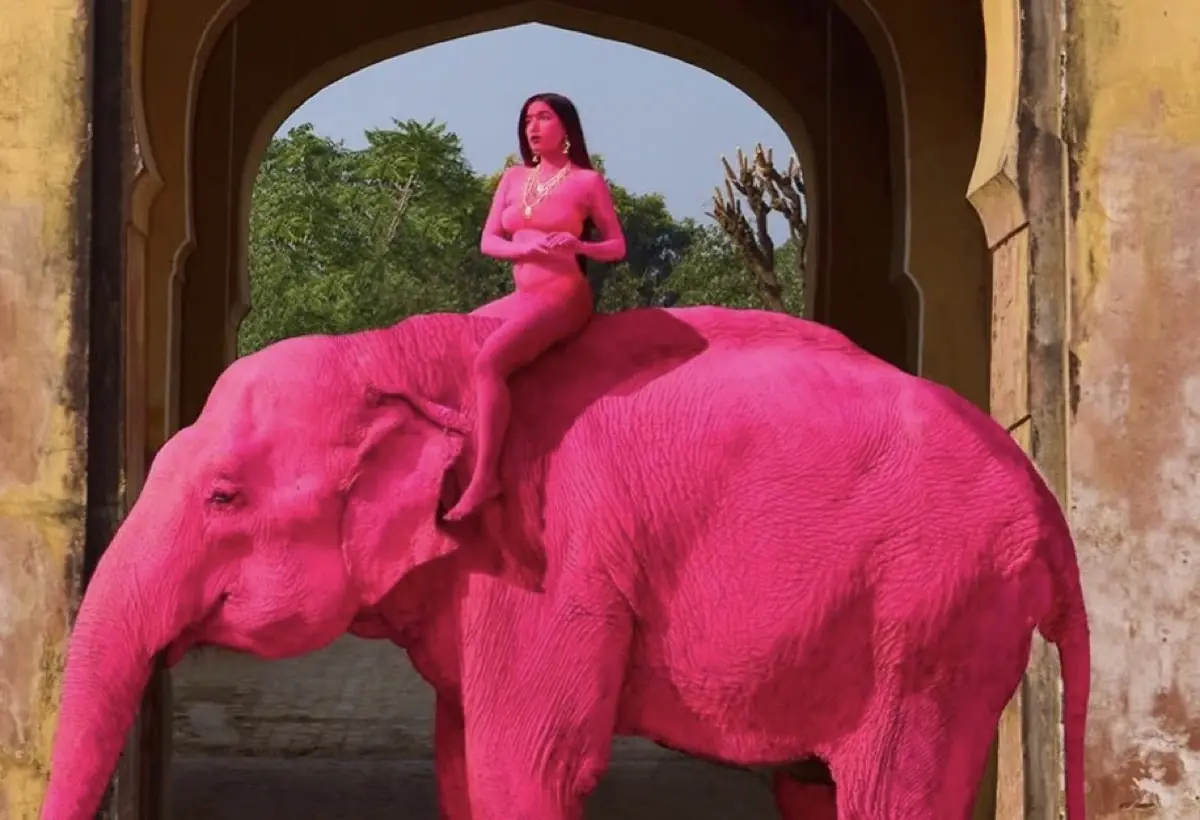 Cette photographe n'a pourtant pas utilis&eacute; d'IA, mais la pol&eacute;mique est mondiale