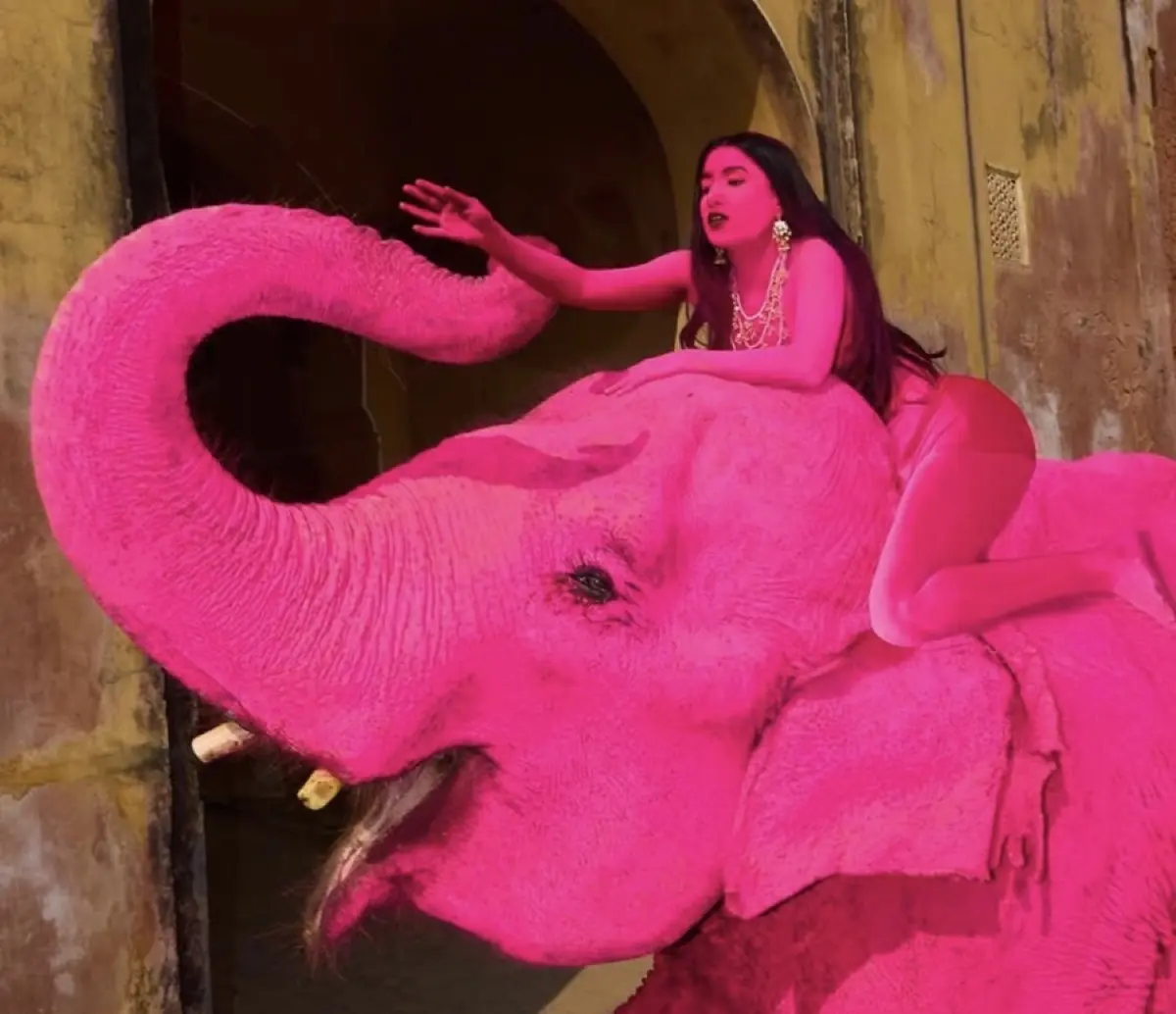 Cette photographe n'a pourtant pas utilis&eacute; d'IA, mais la pol&eacute;mique est mondiale