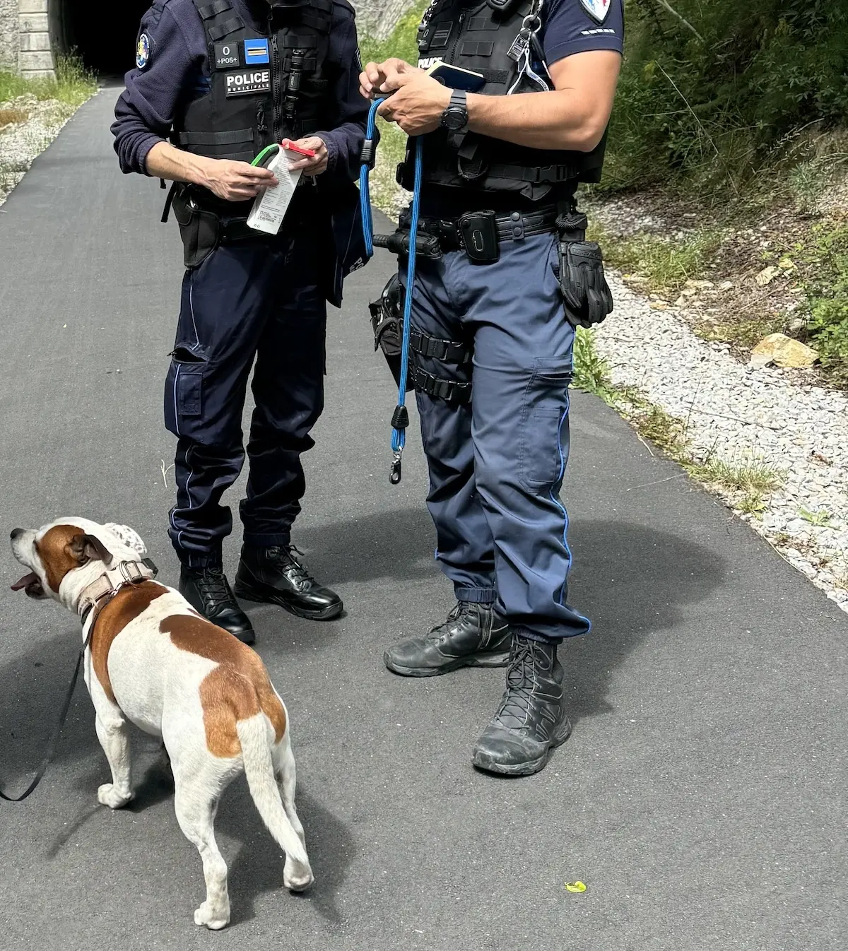 Deux policiers en train d'identifier le propriétaire du chien que nous venons de trouver, errant en ville, grâce à sa puce