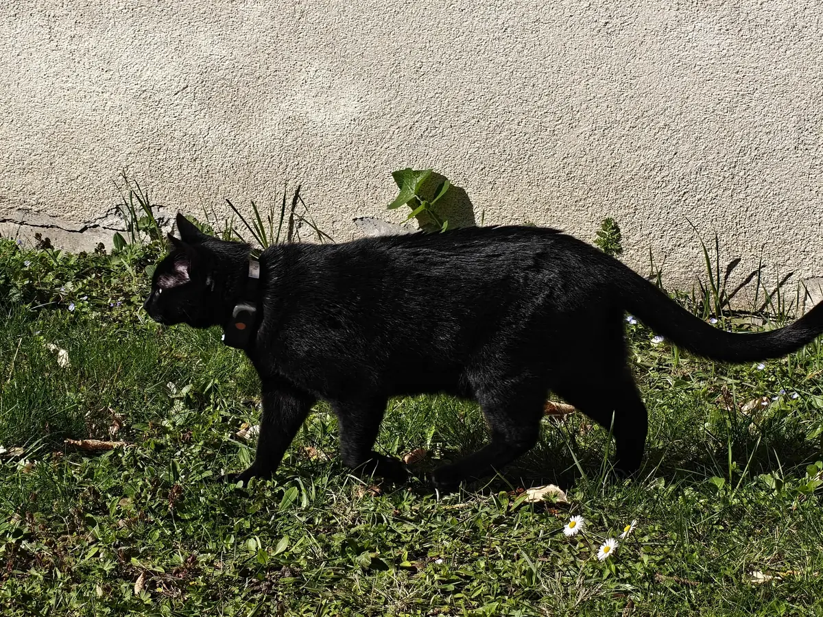 Clich&eacute; r&eacute;alis&eacute; au t&eacute;l&eacute;-objectif 7X